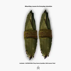 INTENTION // Bay Leaves - 100 XL Organic Whole Dried Bay Leaves for Smooth Low Smoke Rituals & Personal Intentions Pack Aroma Fragrance Set Hand-Selected Indian XL Leaves Aromatic Sage Scented