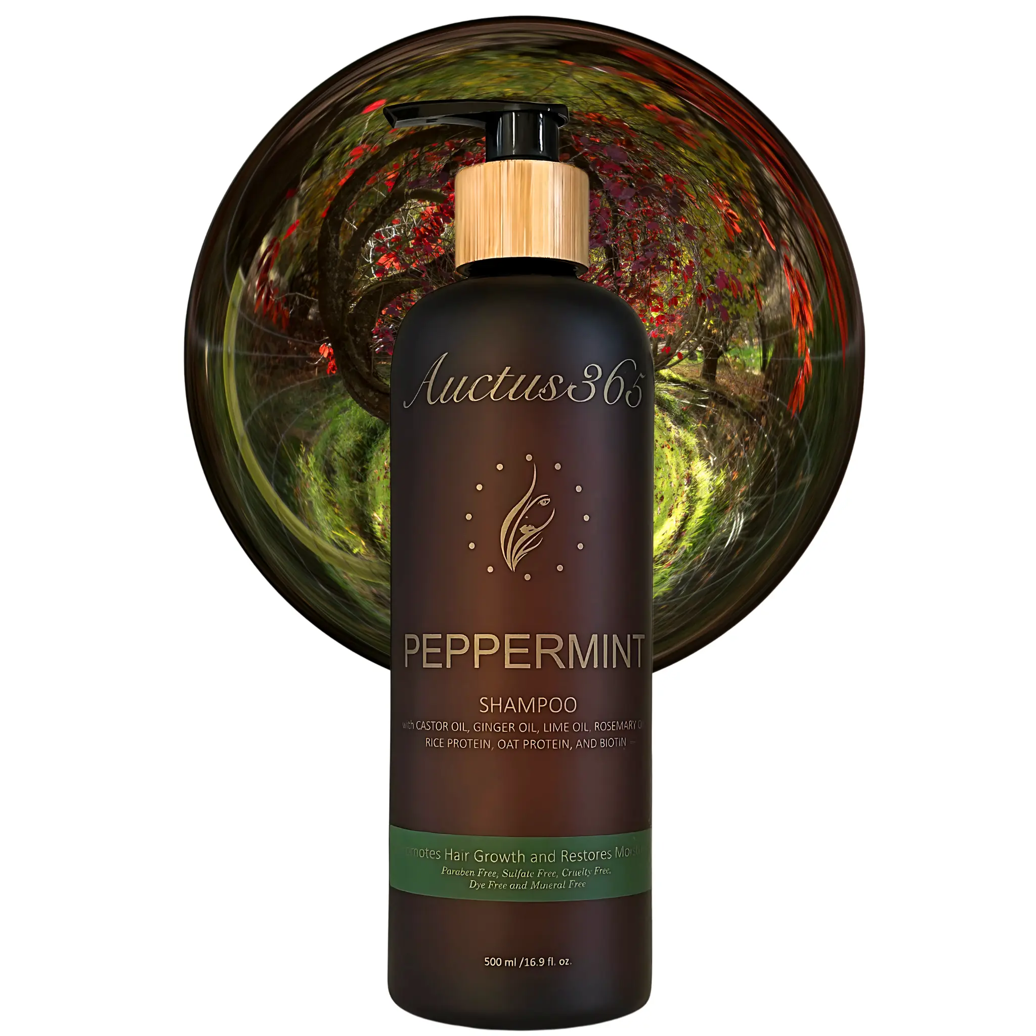 Auctus365 Daily Peppermint Shampoo for All Hair Types, Cooling & Scalp Soothing with Biotin, Protein, Castor & Rosemary Oils, Fresh Mint Scent, Any
