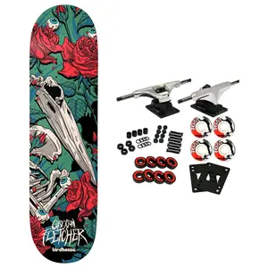 Birdhouse Skateboard Complete Greyson Fletcher Tillbrook 8.5" x 31.75"