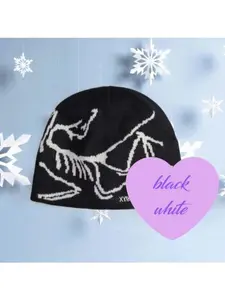 Arc'teryx Bold Beanie Drop, Bird Head Toque Winter Knit Hat Unisex