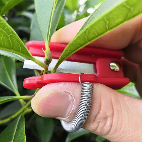 Garden Thumb Knife, Finger Pick Ring Knife, Garden Cutter for Fruits, Vegetables, Flowers, Fruit Finger Cutting Picker, Convenient Portable Garden Grafting Tool, Tree Trimmer, Shrubbery Trimmer, Shrub Trimming Tool, Garden Tools, Gardeners Pruning Tool