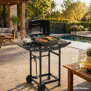 Square Shape Sturdy 2-Burner ARCH Stainless Steel Outdoor Gas BBQ Grill, 24000 BTU Quick-Start Barbecue with Side Burner, Enameled Grates, Side Tables for Patio, Backyard Cooking