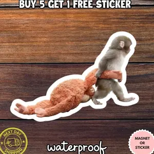 Punch the Monkey Sticker