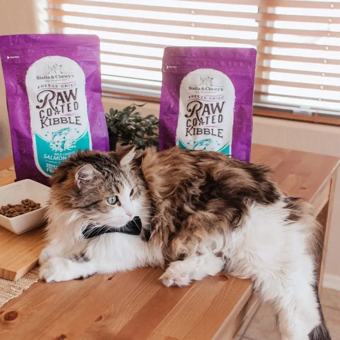 Raw Coated Kibble