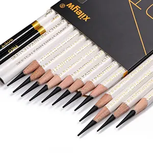 Professional Charcoal Pencils Set - 12Pcs Sketching Kit (6 Soft, 4 Medium, 2 Hard) for Drawing & Art