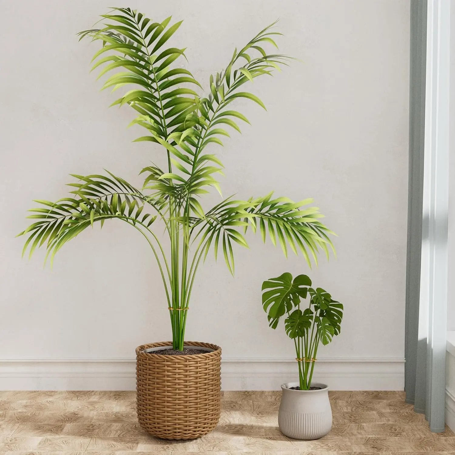 4PCS Iron Monstera Support, Uniquely Designed Plant Support Stakes for  Indoor Plants, Stable Plant Stakes and Supports, Turtle Shell Bamboo Clamp  Set for Thriving Growth - TikTok Shop