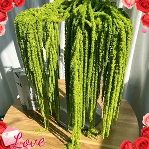 2pcs Artificial Amaranth Flowers - Elegant Green Wisteria Hanging Flowers for Bohemian Home Decor, Parties, Wedding Centerpieces, Christmas, Valentine's Day, Outdoor Garden Decor, Photography Props, Bridal Bouquet Accessories, Natural Style