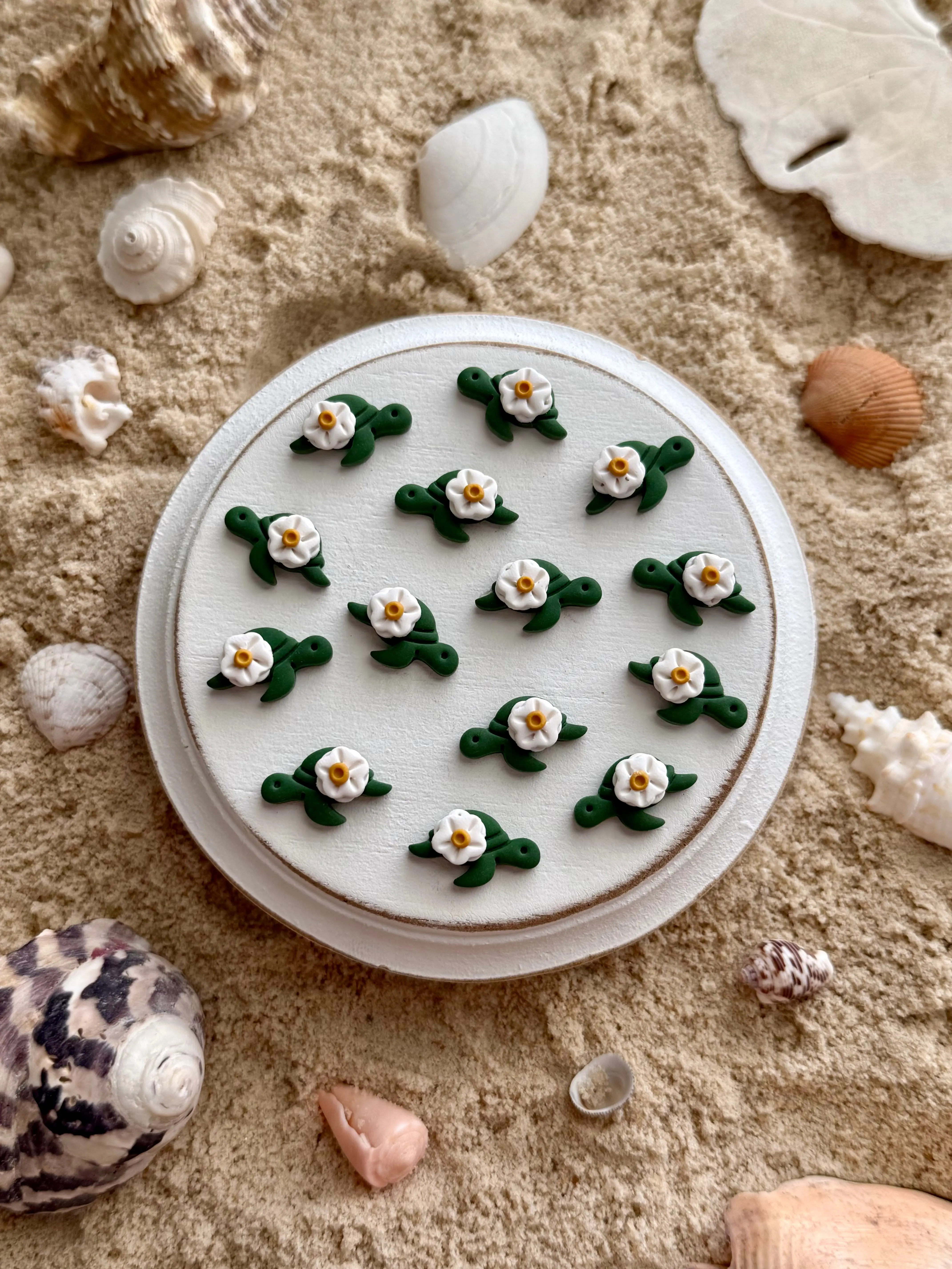 Sea Turtle Studs