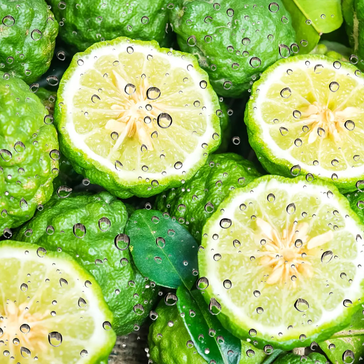 Bergamot Rain - Candle Fragrance Oil Bergamot Rain - Candle Fragrance Oil