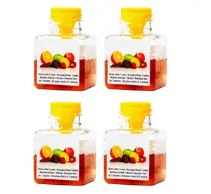 4-Pack Fruit Fly Traps for Kitchen & Home | Effective Fruit Fly Catcher & Deterrent | Long-lasting Protection | Child & Pet Friendly