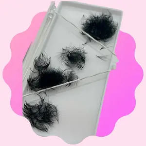 12D 0.03 Promade Fans (Box Of 500) Eyelash Extensions