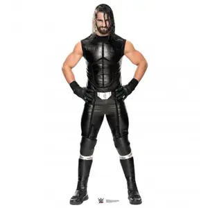 Seth Rollins WWE Cardboard Cutout, Home Decor Standup for Wrestling Fans