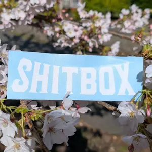 YMKZ.JP - Shitbox - Vinyl Decal - Car Decal - Vinyl Sticker - Laptop Decal - JDM - Euro - USDM