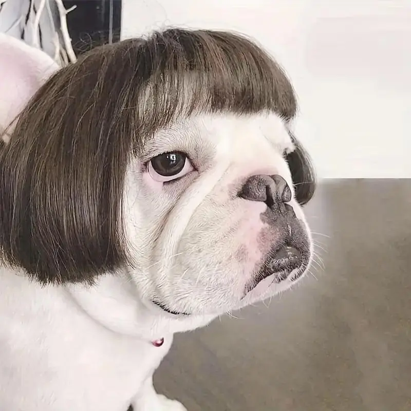 Dog Wig, Funny Cute Puppy Pet Hair Accessories & Costume Decoration for Party, Poodle & Small Dogs