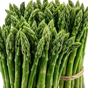 100 Mary Washington Asparagus Heirloom Seeds - Rust Resistant Full Sun Perennials, Long-Term Crop Garden Vegetable Seeds for Tender, Delicious Spears Year After Year
