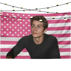 Funny Dylan O'Brien Print Art Tapestry - Home Decor Wall Hanging, Ideal for Living Room, Bedroom, Gifts, Decoration, Room Accessories summervibes