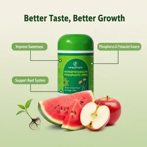 High Phosphorus and Potassium Fertilizer for Supporting Flowering and Root Development