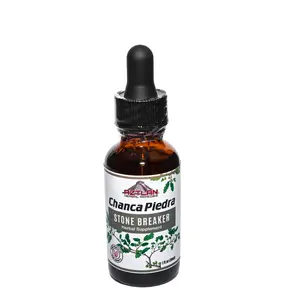 Chanca Piedra (Stone Breaker) Tincture 1oz – Natural Kidney & Gallbladder Support