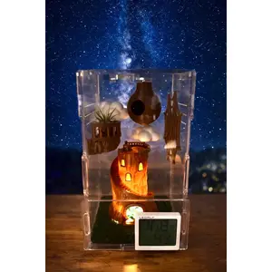 Cliffside Castle Theme | JUMPING SPIDER