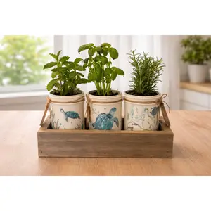 Herb Garden Craft Kit