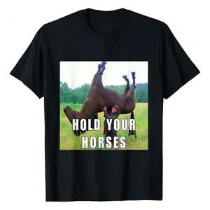 Hold Your Horse Funny Meme For T-Shirt Women's Tee