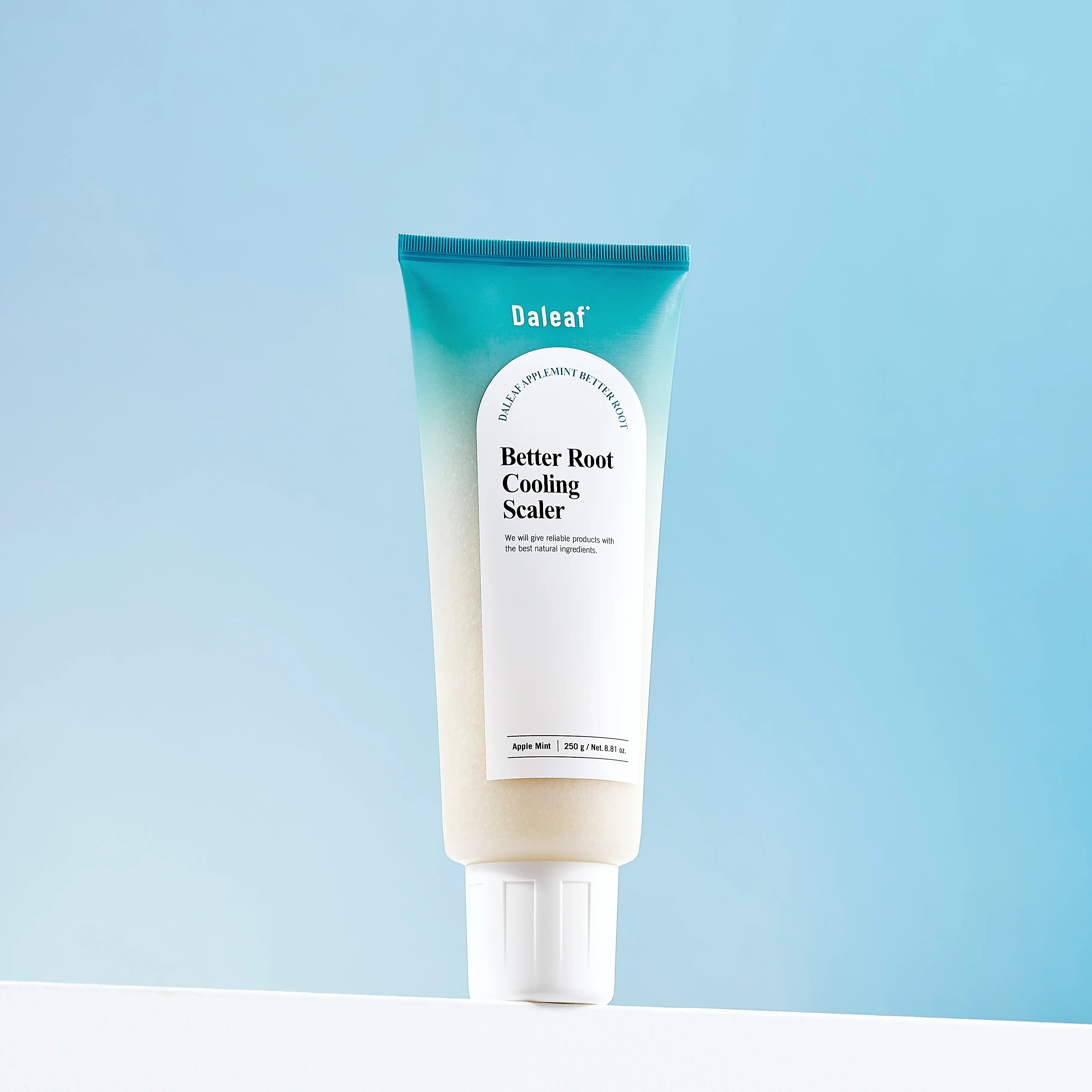 [DALEAF Official] Applemint Cooling Scalp Scaler 250g