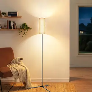 LED Dimmable Floor Lamp, Three Color Adjustable, Minimalist Design, USB Powered, 3000-6500k, Brightness Adjustable, Metal Corner Standing Light, Home Decor Lighting