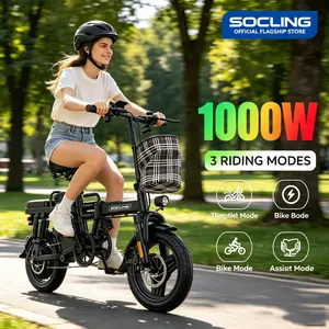 14" Z1 Foldable Electric Bicycle, 1000W Brushless Motor 48V 15Ah Removable Battery Up to 48 Miles, High Carbon Steel Frame Dual Brakes, LED Dashboard Remote Lock E-Bike for Daily Commute