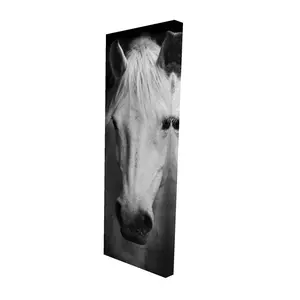 212 MAIN Artistic Monochrome Horse Wall Art - 16x48 in. Minimalist Farm Animal Photo Print, Crisp Details, High-Def Print for Bedroom Home Decor, Decoration Artwork