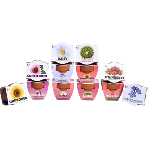 Classic Mini Terracotta Pots | Assorted (12 Pack)