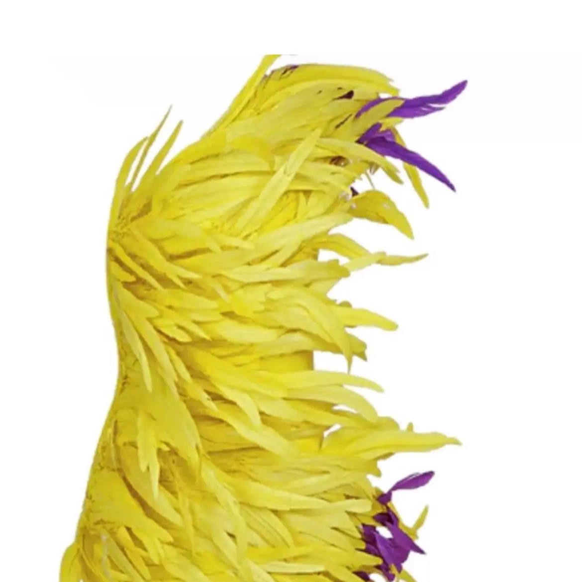 Statement Mini Feather Dress