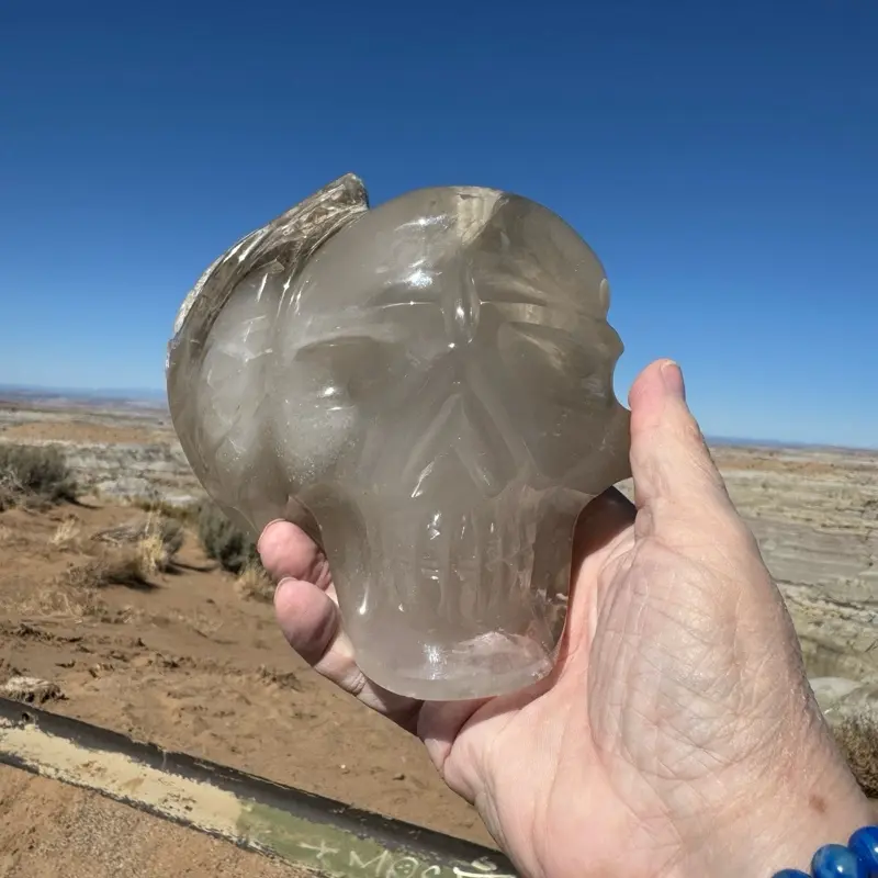 Phantom Quartz Crystal Skull with Lodoliwith Lodolite and Chlorite