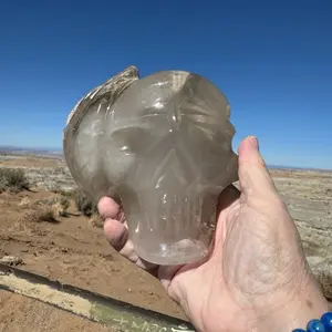 Phantom Quartz Crystal Skull with Lodoliwith Lodolite and Chlorite