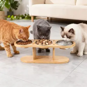 Elevated Cat Bowls, 15° Tilted Raised Cat Bowls with Stand, Pet Stainless Steel Bowls for Cats and Puppies, Comfort Feeding Design Feeder