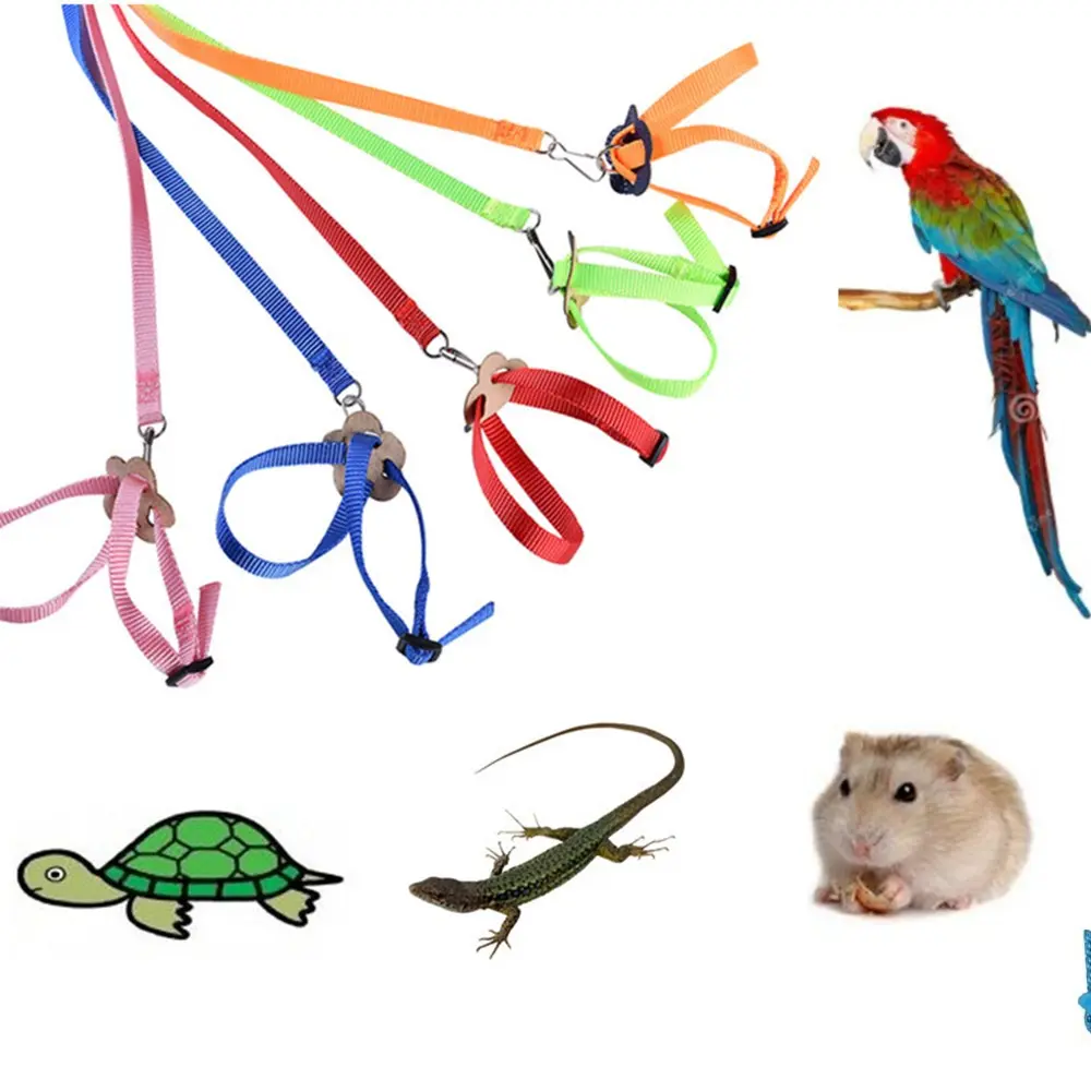 Adjustable 4.72 Inch Reptile Lizard Leash, Turtle Lizard Pet Harness, Soft Small Animal Lead, Outdoor Use, Bearded Dragon Accessories
