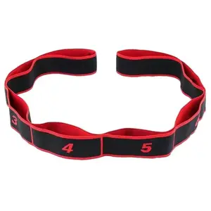 8-Segment Numbered Pilates Stretching Band for Seniors - Non-Slip Portable Resistance Band, Home Workout Gear, Glute Workout Gear, Physical Therapy & Strength Training Equipment
