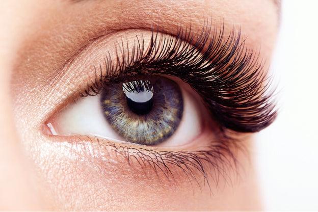 KISS Lash Couture Matte Black Multipack - Matte Cheviot