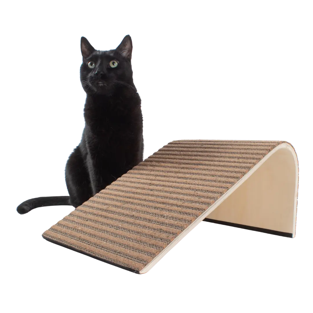 Scratchify! Incline Scratcher by Jackson Galaxy