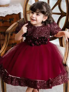 Toddler Girl's Contrast Sequin Floral Decor Princess Dress, Elegant Puff Sleeve Bow Back Party Dress, Summer Outfits 2024, Toddler Girl's Summer Clothes, Tulle Overlay Dress