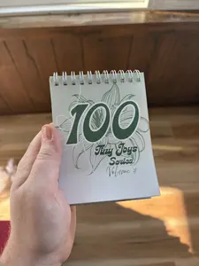 100 Tiny Joys Volume 3