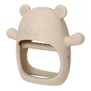 Silicone Baby Teething Toy, Sensory Teether, Gecko Design, Safe and Durable, Perfect Christmas Gift for Newborns, Soothes Infant Teeth Pain