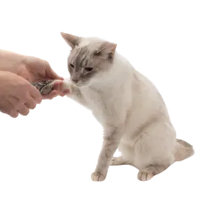 Gentle Grooming Cat Nail Clippers by Jackson Galaxy