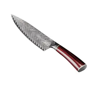 Damascus 67-Layer Steel Chef Knife with Color Wood Handle