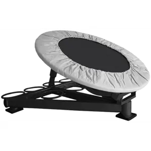 French Fitness MBR500 Medicine Ball Rebounder (New)