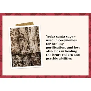 Yerba santa sage
