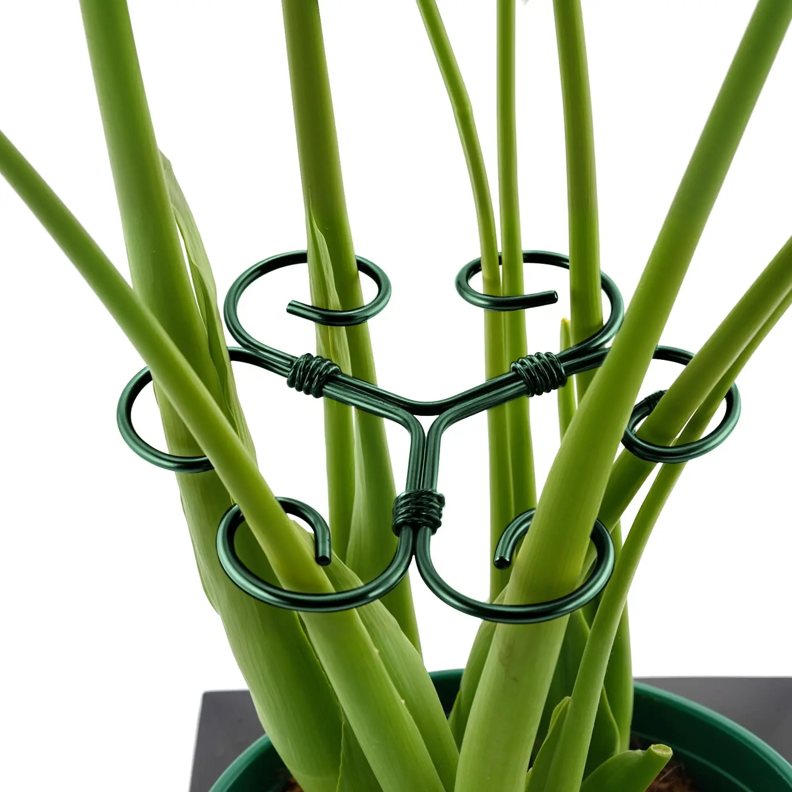 8PCS Green Iron Monstera Support, Uniquely Designed Plant Support Stakes for Indoor Plants, Stable Plant Stakes and Supports, Turtle Shell Bamboo Clamp Set for Thriving Growth