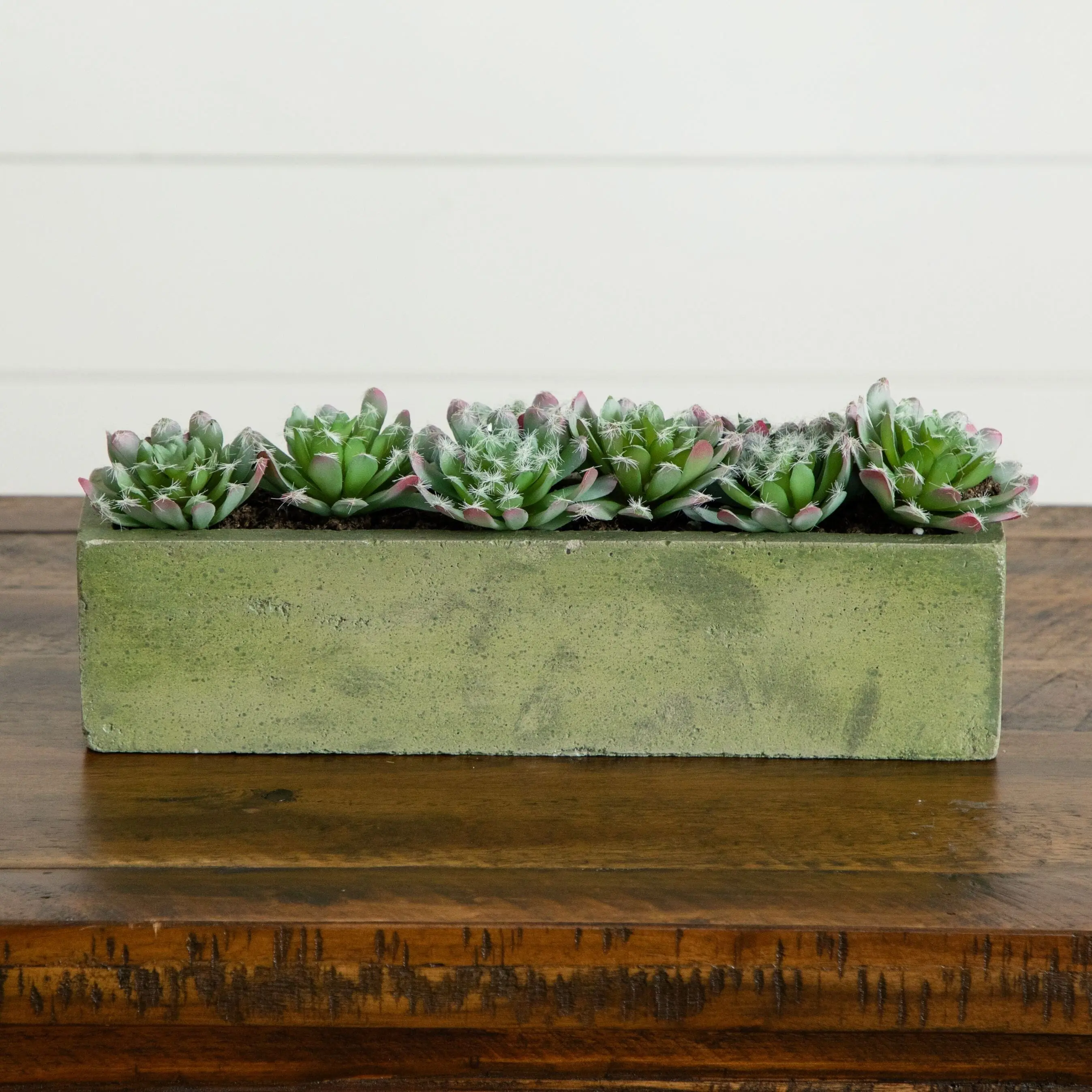 5.5in Textured Concrete Succulent Pot - Rustic Home Decor Outdoor Planters, Gift Ideas for Covered Patio, Flower Pots & Planters for Sunroom Displays