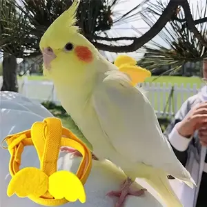 1pcs Adjustable Parrot Bird Harness Leash Set Anti-bite Training Harness Parrots Outdoor Flying Rope Cockatiel Small Birds Supplies