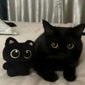 Cat Design Plush Toy, 1 Count Cute Cat Plush Keychain, Super Soft Fluffy Cuddly Cat Stuffed Animal, Kawaii Plushies, Huggable Stuffed Animal, Kawaii Stuffed Animals, Perfect for Teenager Birthday Gift