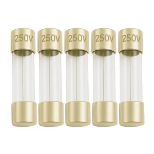 500mA (0.5A Amp) GMA Glass Fuses, 5x20mm (0.20 x 0.79inches), 250V Fast-Blow, Fast Acting Fuses for Electronics, Appliances, and Circuit Protection, 5 Pack